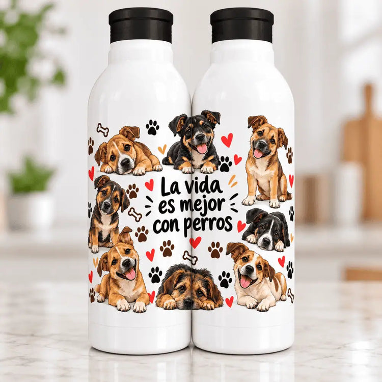 Botella Aluminio 650 ml Cachupin Lindos