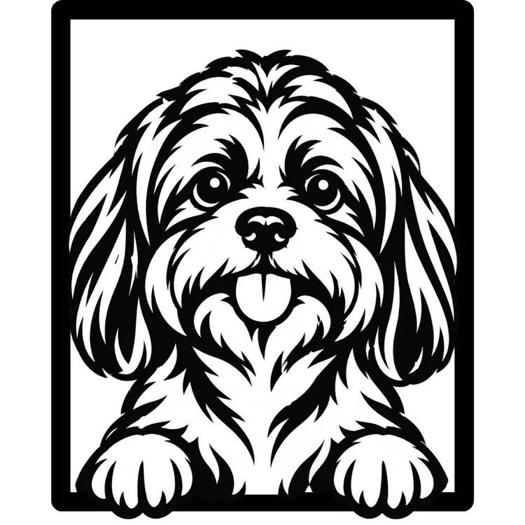 Cuadro Shih Tzu