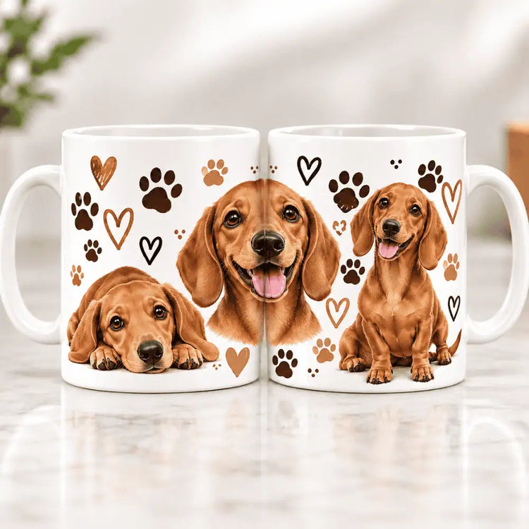 Tazón Dachshund Tierno